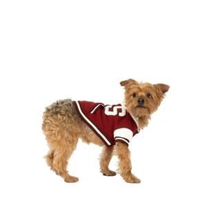 NEW SILVER PAW otis hoodie style varsity jacket with snap closure in burgundy